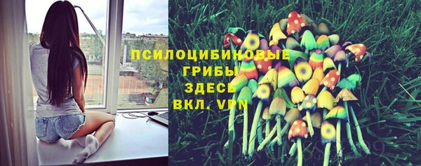 кокс Алексеевка